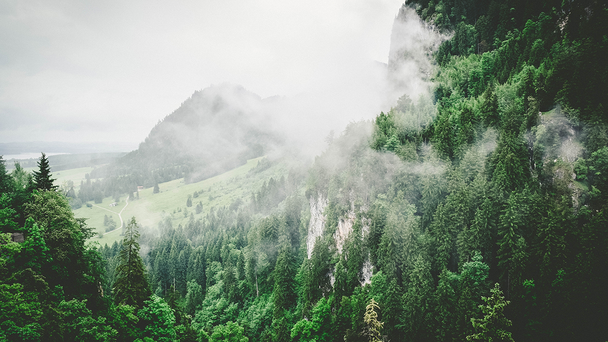 Sustainability embroidery thread