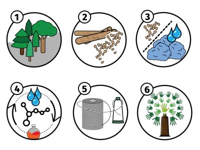 Madeira_SensaGreen_Production_Process_Sustainable_Thread