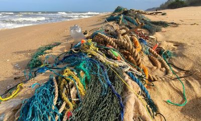 Ocean collected plastic