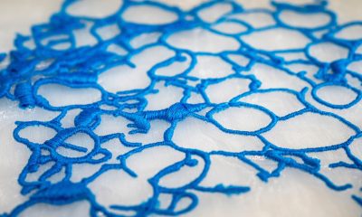 Polyocean close up
